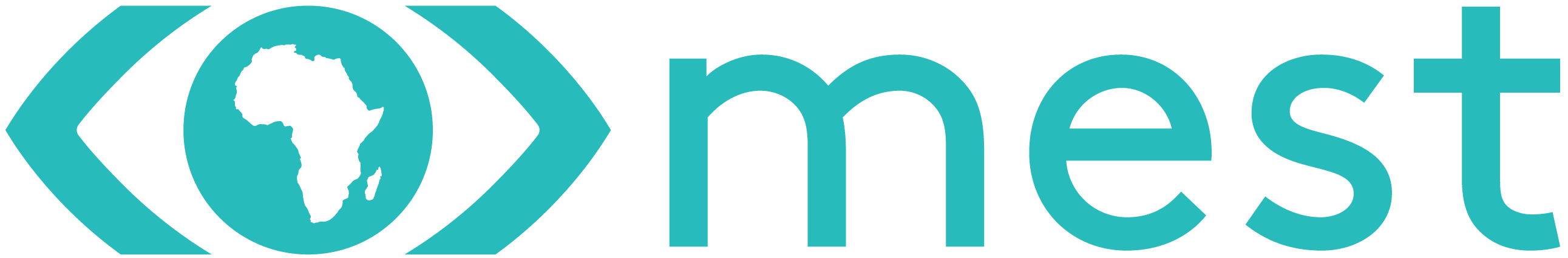 MEST Africa logo